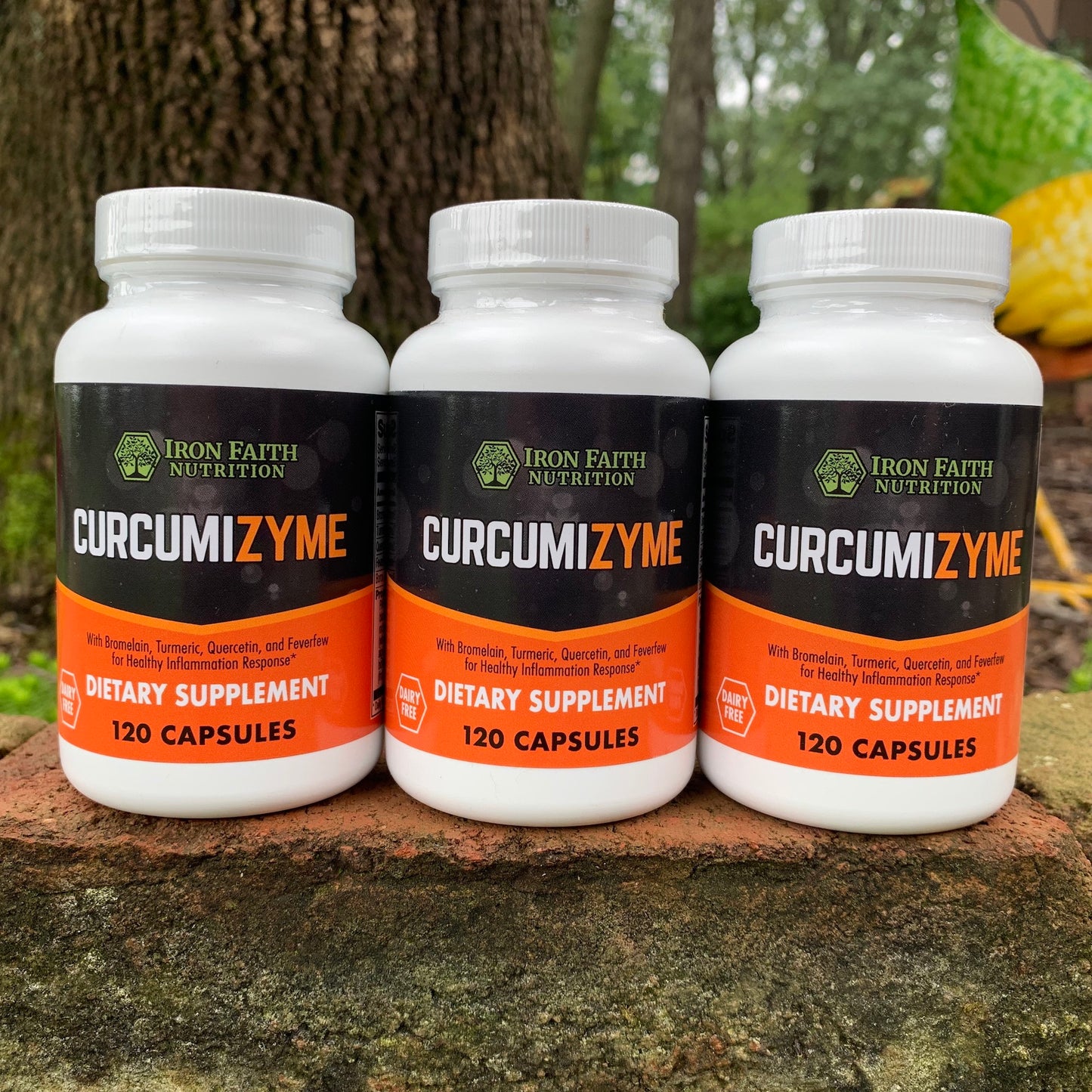 “Curcumizyme — turmeric + bromelain + quercetin joint support — Iron Faith Nutrition”
“Natural inflammation support supplement for mobility and recovery”
