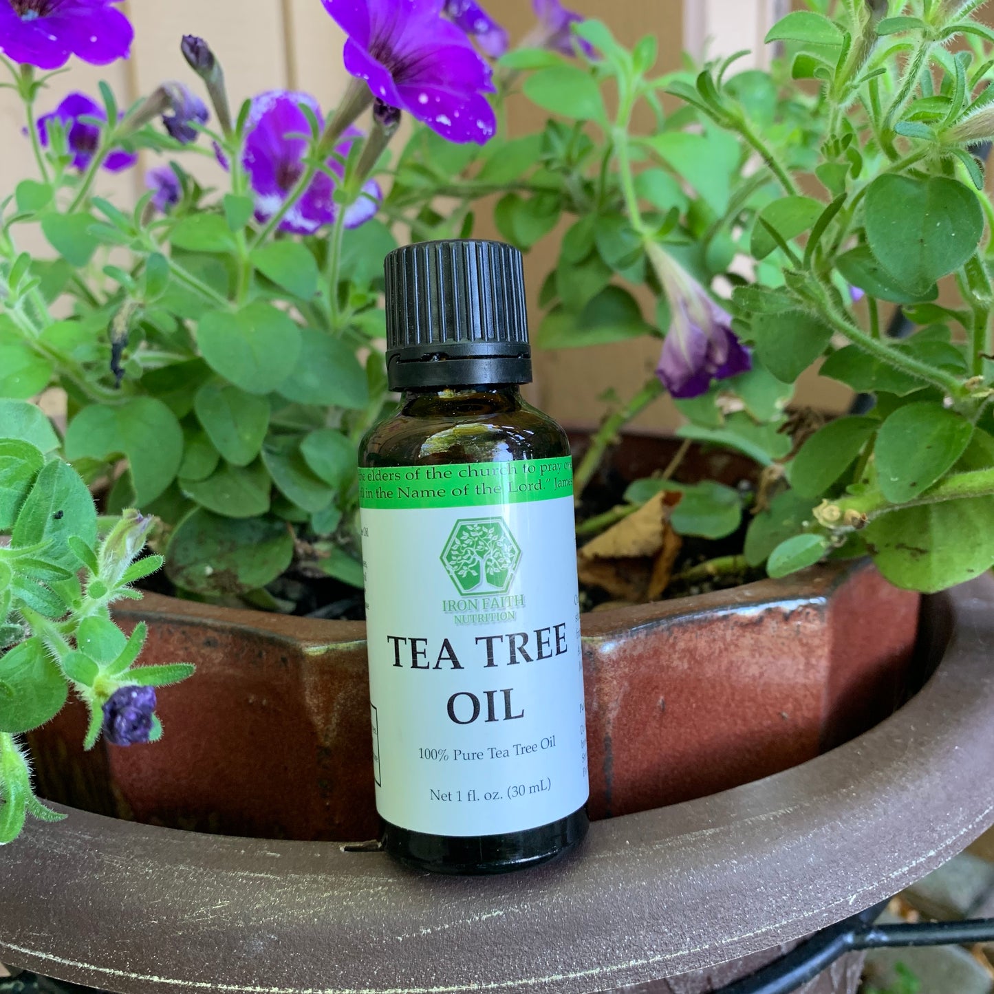 Tea Tree Oil — 100% pure Australian Melaleuca alternifolia essential oil — Iron Faith Nutrition