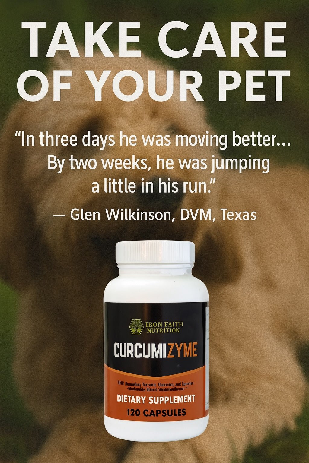 Holistic Guide: Curcumizyme for Pets - Natural Inflammation Support - Iron Faith Nutrition