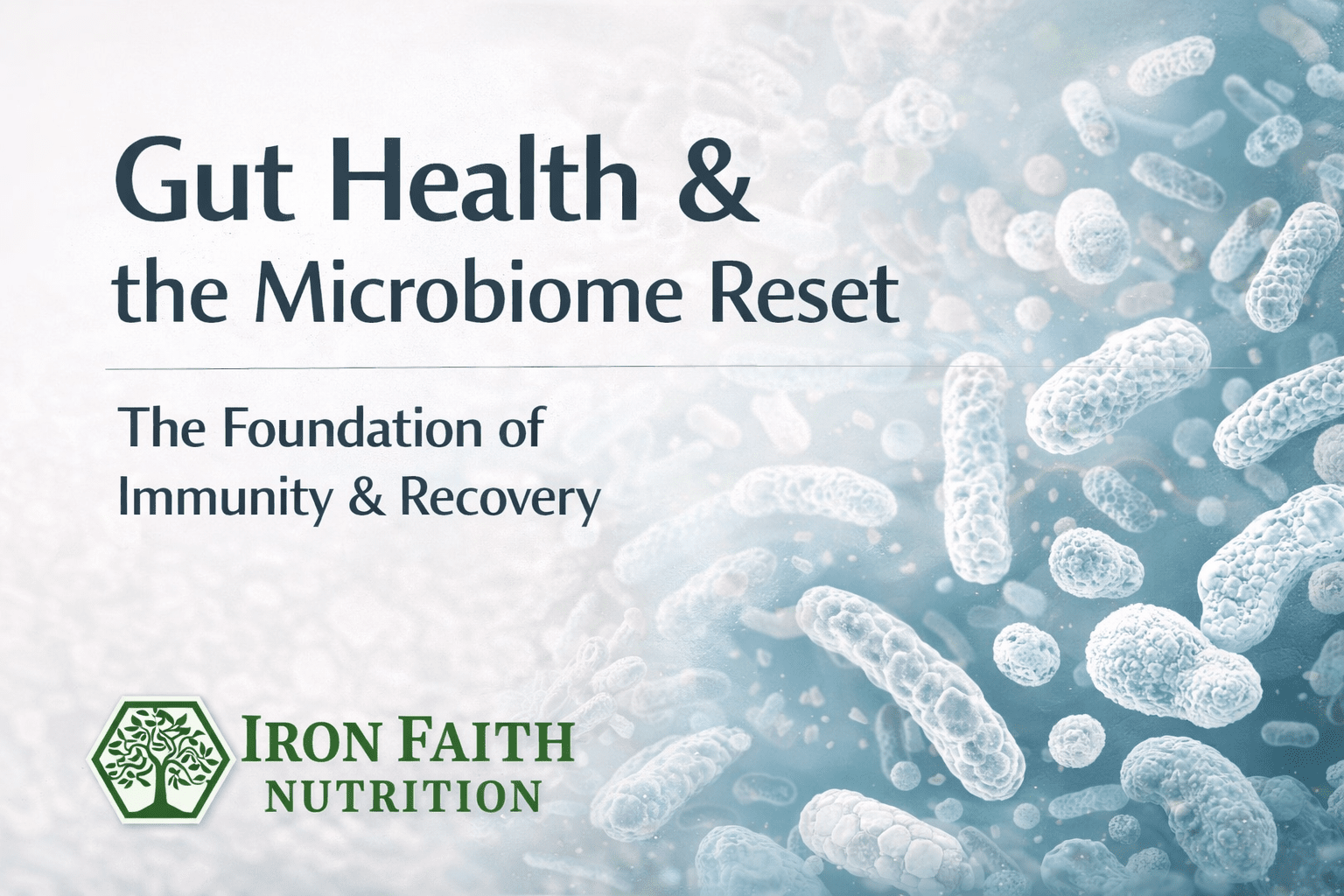 Gut Health & the Microbiome | How Digestion Controls Immunity ...