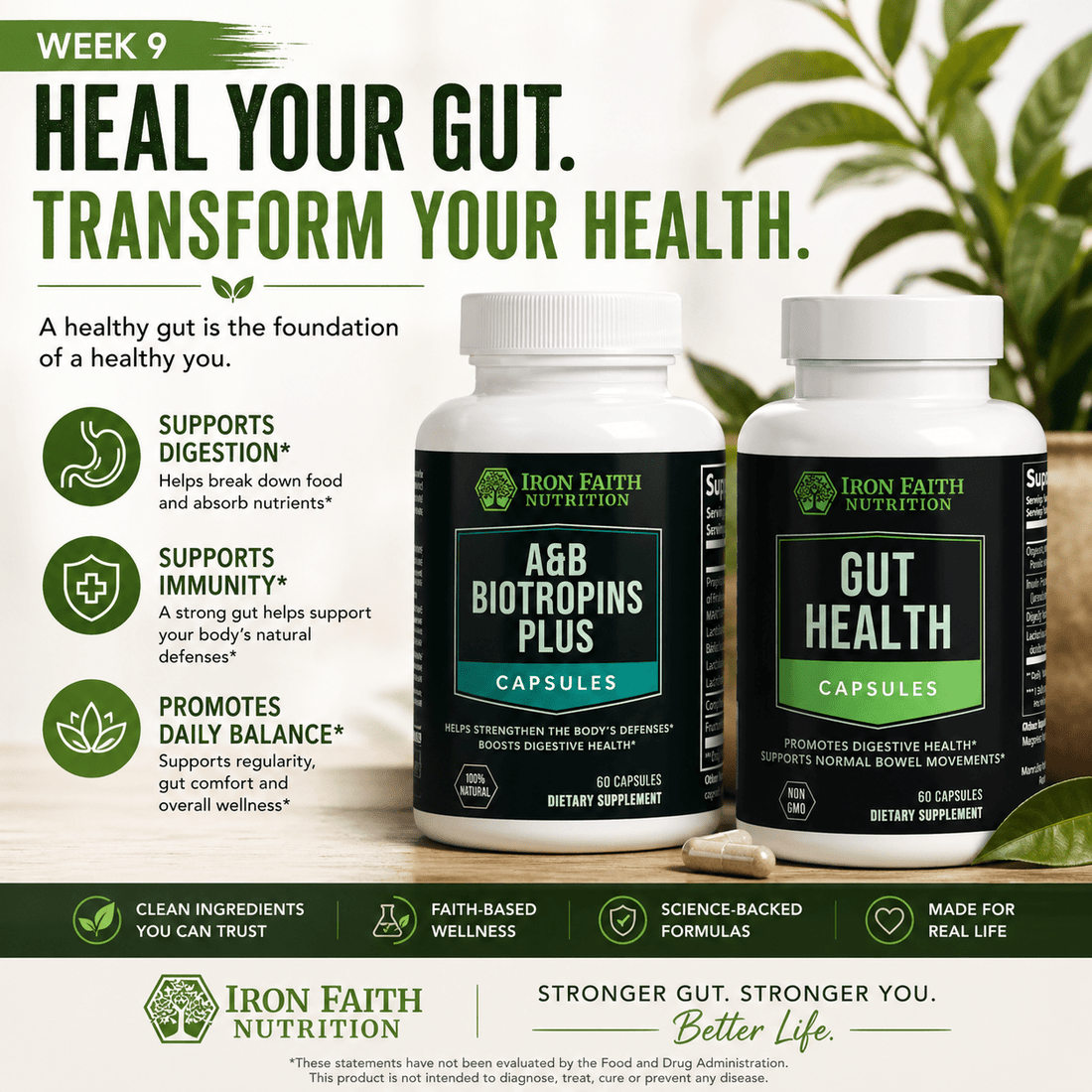 Your Gut Is the Control Center: Digestion, Immunity, Mood, and Inflammation - Iron Faith Nutrition