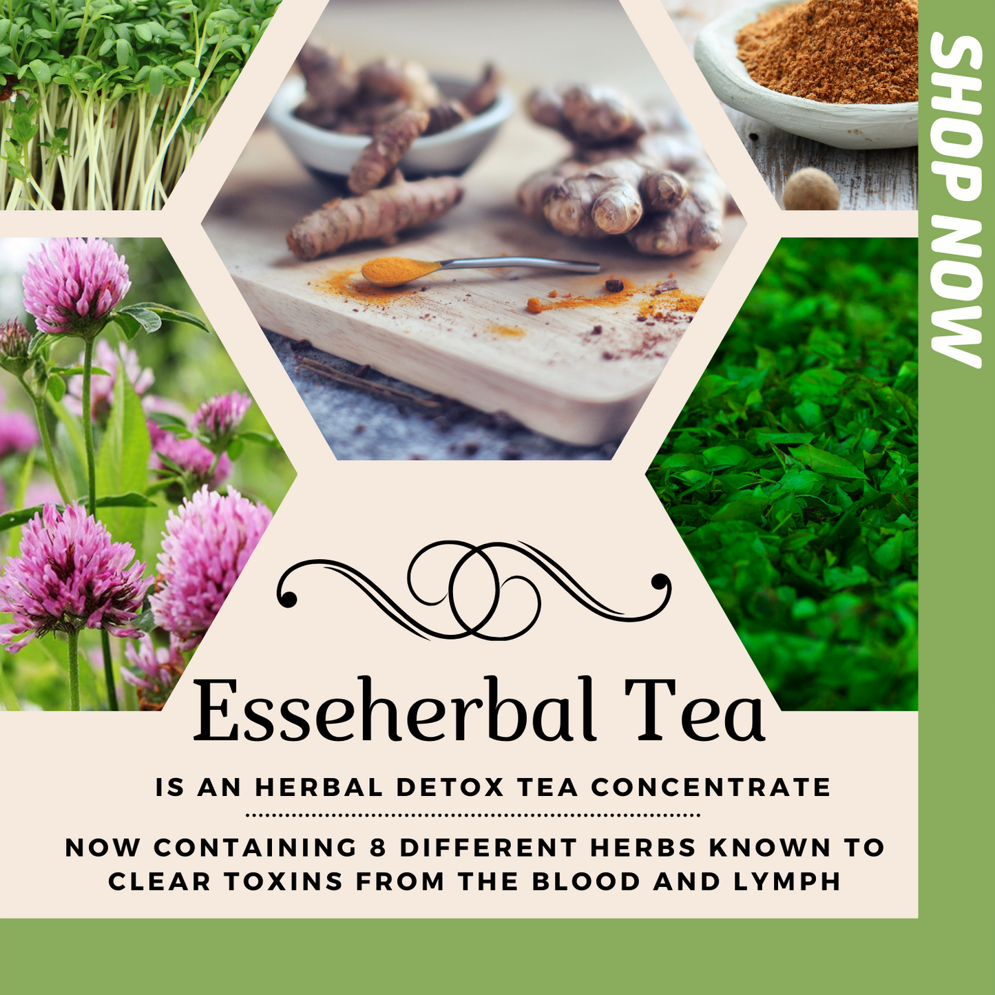 EsseHerbal Tea