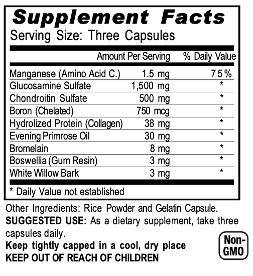 Glucosamine Chondroitin